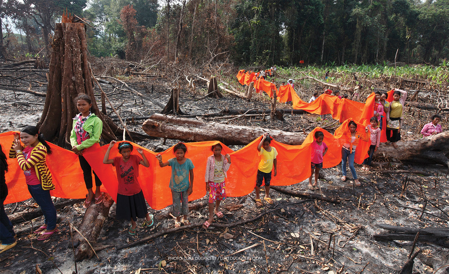 Protect An Acre - Rainforest Action Network