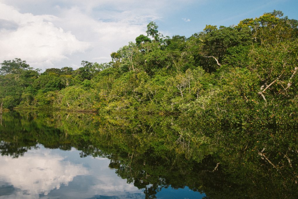 Expansion: Amazon Oil - The Understory - Rainforest Action Network