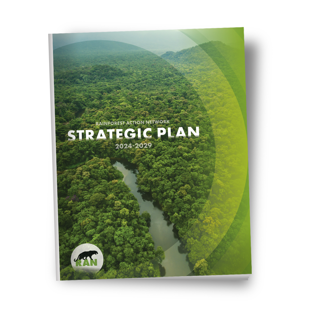 5-Year Strategic Plan