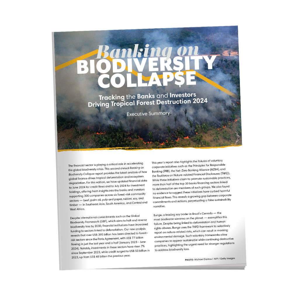 Banking on Biodiversity Collapse 2024 – Executive Summary